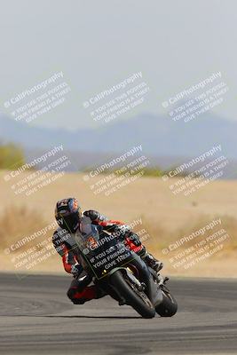 media/Apr-12-2025-Race Pace (Sat) [[9230add55f]]/Vested/6-Turn 4 Tree of Life (115pm)/